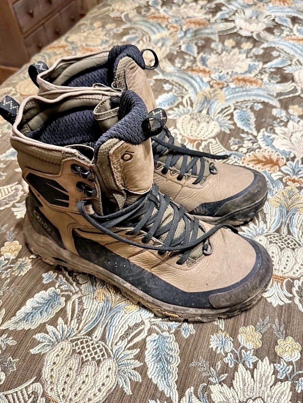 Oboz Men's Bangtail Mid Waterproof Hiking Boot Waterproof Hiking Boots Brown &